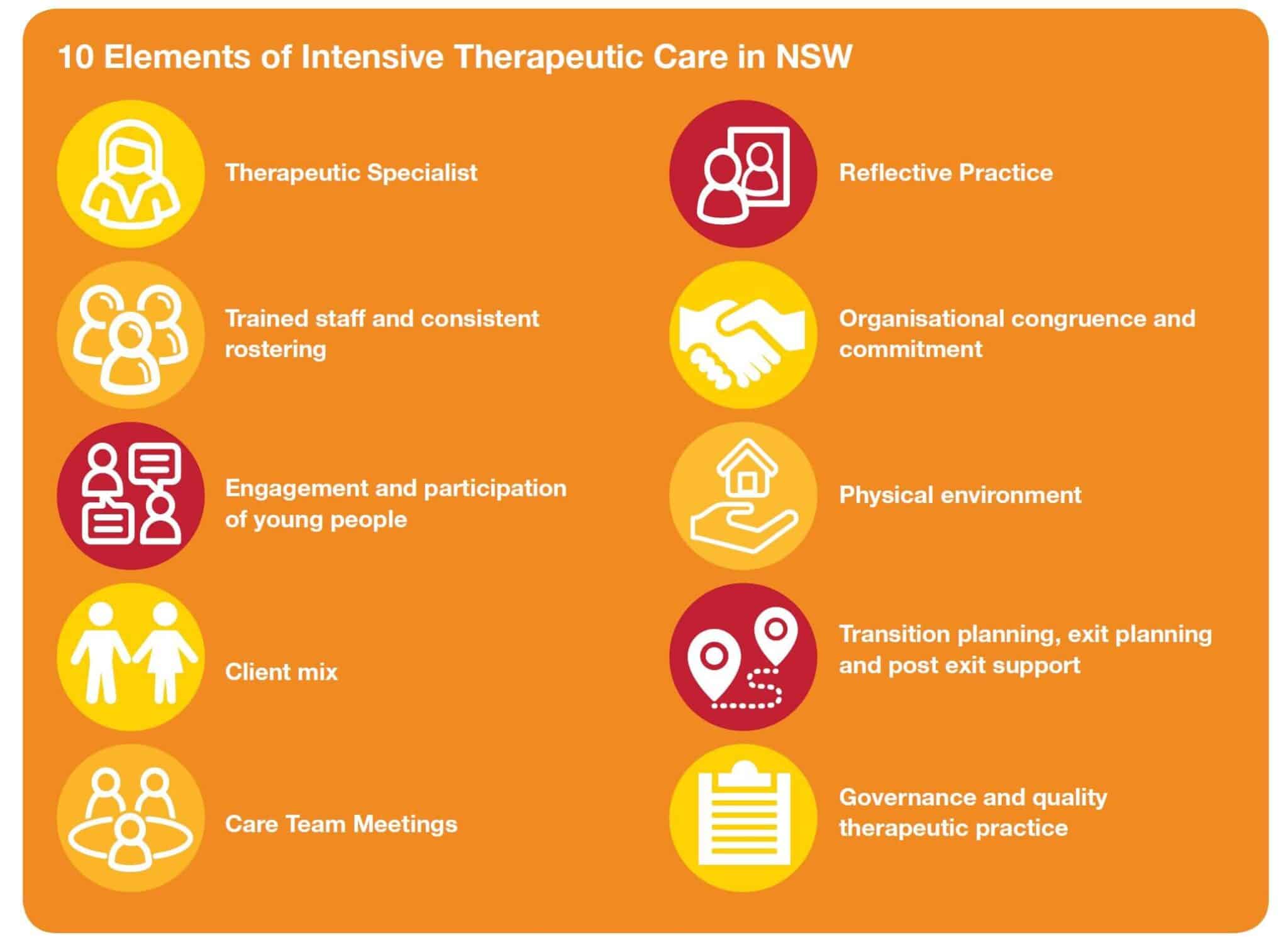 What are the 10 essential elements of the Intensive Therapeutic Care System in NSW?