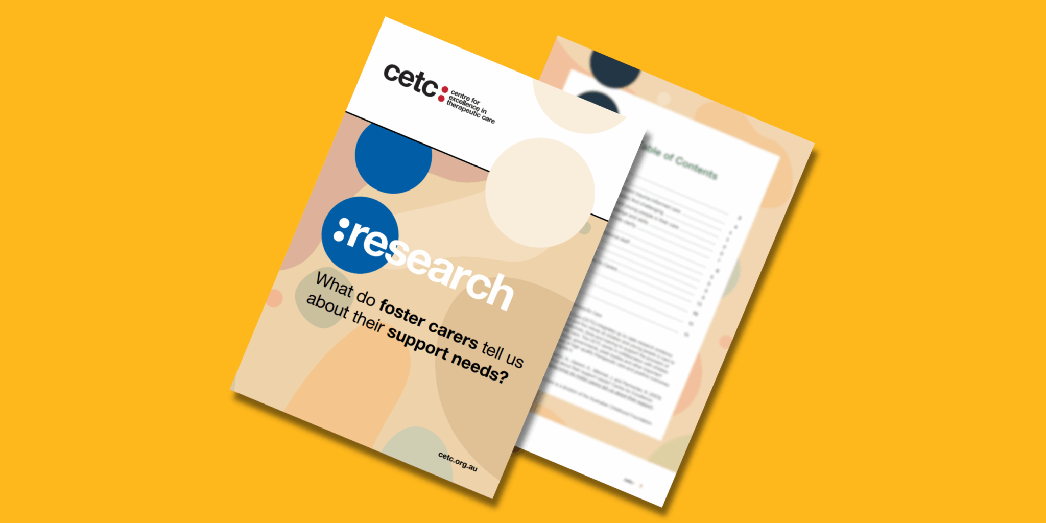 What do foster carers tell us about their support needs? – Research brief