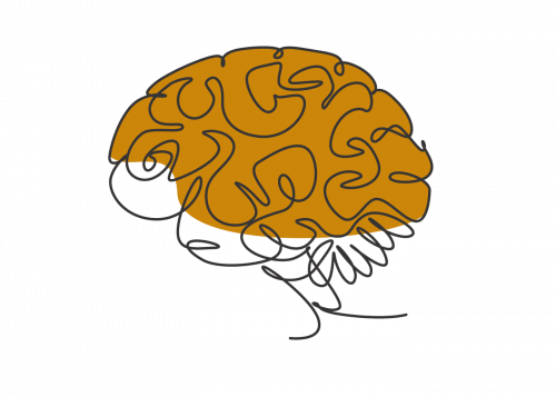 Brain