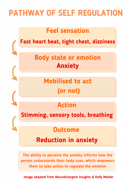 Self-regulation pathways (2)
